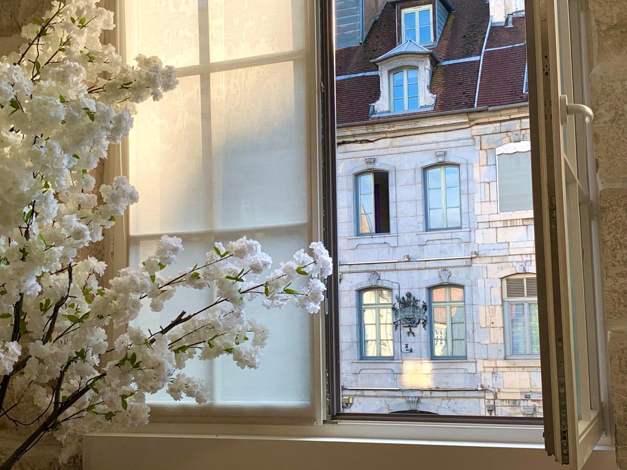 Les Fabuleux Appartements Du Coeur De Ville - Place Victor Hugo Безансон Екстериор снимка